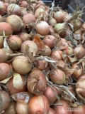 Sprzedam cebulę żółta kaliber 4-6/5-7/7+ worek 10/15 kg bigbag Cebula fazorowana 