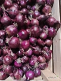 Sprzedam cebulę ozimą czerwona, odmiana electric. Kaliber 5 plus. Możliwość workowania opakowania od 5 kg.