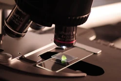 Copa - Cogeca: Nowe Techniki Genomowe to szansa dla bezpieczeństwa żywnościowego