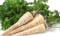 sprzedam pietruszke korzeń
