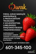 Firma JURAK nawiąże współpracę z producentami truskawki do mrożenia z województwa lubelskiego oraz świętokrzyskiego. Gwarantujemy...