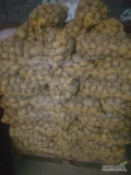 Sprzedam ziemniaki Soraya z jasnej ziemi kal 4.5 + 300 worków z na paletach 13 zł worek
