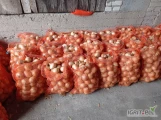 Cebula. Sprzedam cebulę z siewu, kaliber 5-8 zdrowa, jasna łuska worki 15 kg lub luz.
