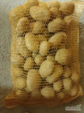 Sprzedam ziemniaki+55 Soraya pakowane w worku 10 kg szyte. 24 tony