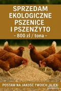 Sprzedam ekologiczne Przenica i pszenżyto – 800 zł / tona  dostępne 20t