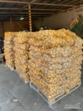 Sprzedam ziemniaki Jurek Vinieta ładne Grube + 50 pakowane wszyty worek 15 kg ilości hurtowe .Gdańsk
