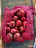 Witam. Sprzedam ładną czerwoną cebulę z siewu wiosennego. Kal. 5-7/5-8/6-8, worek raszlowy szyty 5 kg/10 kg, big bag.