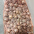 Sprzedam cebulę drobną na wysadkę nie fazerowana kaliber od 25 mm do 45 mm worek 30kg , 15 kg lub big bag cena 1 zl/kg możliwość...
