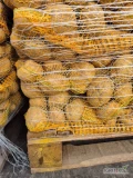 Sprzedam ziemniaki jadalne odmiana Wineta , kal. 5+ ,opakowanie worek 10 kg, 24 tona cena 1,25 zł kg. Faktura VAT.