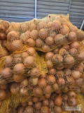 Cebula 4,5÷8 w worku 10kg 
