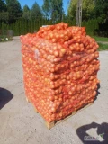 Sprzedam cebule z siewu dobrze zasuszoną . 200 ton worek szyty 5-10-15 kg luz lub big bag.