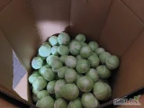 Kupię kapustę białą handlową kaliber 1kg -4 kg czysta bez wcierniastka  w karton. Boks ilości tirowe płatne na załadunku 