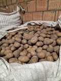 Witam, do sprzedania ziemniaki odmiana Melody. Towar ładny gruby zdrowy. Przesortowany od 50+, możliwość naszykowania 55+. Opakowanie...