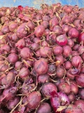 Cebula CZERWONA na pakowanie i obieranie. Siewka, twarde odmiany, 60-70% 60mm+.Ilości tirowe, import, dostawa do klienta. Co tydzień nowe...