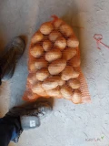 Sprzedam ziemniaki gala kal 5.5+ dostępne ok 5 ton pakowane w worki 15kg 