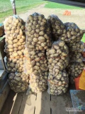 Ukopie ziemniaki Riviera na teraz ,ilość worek i cena do uzgodnienia