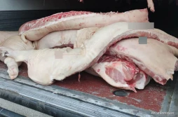 Ukradli 90 półtusz wieprzowych...