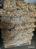Sprzedam ziemniaka z Fito na Ukrainę odmiana Vega kaliber 45+
