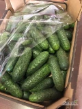 Jesteśmy zainteresowani zakupem 3 palet polskich ogórków typu kolka (6-9) w kartonach 5 kg. Na zdjęciu są pokazane ogórki jakie nas...