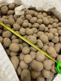Nawiążemy współpracę z producentami ziemniaków. Ilości tirowe, pakowane w big bag, worek szyty. Płatność natychmiastowo, duże...