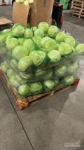 Kupię kapustę biała pakowana worek 25kg