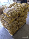 Sprzedam ziemniak odmiana Soraja  naszykowane 280 worków cena 12 zł 