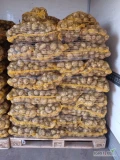 Sprzedam młodego ładnego ziemniaka. Małopolskie Kraków duże ilości. Odmiany Riviera oraz colomba