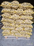 Witam! Sprzedam ok 200 worków15 kg ziemniaka odmiany Werbena. Ziemniak zdrowy lekkiej jasnej ziemi . Kaliber 4+ 