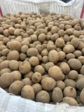 Sprzedam tirowe ilości ziemniaków jadalnych, kal. 4,5+ i 5+ , odmiany żółte, opakowanie big bag lub worek szyty (Kolor worka i waga do...
