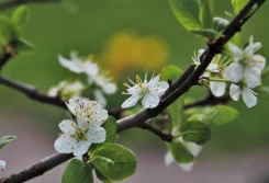 IMGW: jaka będzie wiosna?