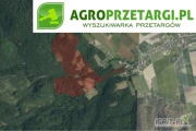 [ZAKOŃCZONE] Przetarg na dzierżawę 15,80 ha gruntu rolnego na 10 lat – RII, RIIIa, RIVa, RIVb, RV, ŁIII, ŁIV, ŁV, PsIII, PsIV, PsV,...