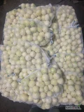 Sprzedam cebula obrana na biało. Odbiór Wrocław. Możliwy dowóz. Fv vat
