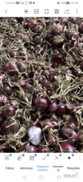 Sprzedam cebulę czerwoną na pakowanie 65%6+, import, Ilości tirowe, dostawa do klienta, co tydzień nowe oferty