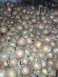 Sprzedam ok.20 ton cebuli odm.hysinger.kaliber 4+.