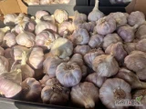 Sprzedam czosnek świeży do czyszczenia lub oczyszczony/ luz / pęczek / warkocz . W ofercie również czosnek suchy oczyszczony różne...