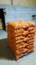 Sprzedam cebulę żółtą 4-7 około 15 ton. Zdrowa sucha łuska, opakowanie do uzgodnienia.