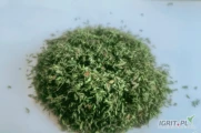 Tymianek jesienny 3000kg bez zanieczyszczeń 