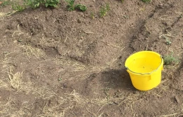 Sezon na chowacze można uznać za otwarty