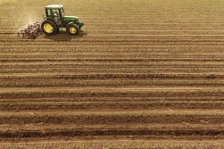 Siew kukurydzy a potencjał stanowiska