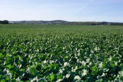 Nowoczesne technologie nawożenia