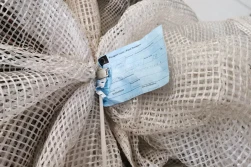 Wiosenne zakupy materiału siewnego