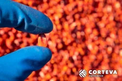 Corteva Agriscience i Eden Research plc wprowadzą na rynek Unii Europejskiej i Wielkiej Brytanii Ecovelex™