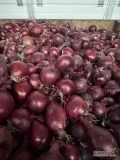 Sprzedam cebulę czerwoną kaliber 5/8  5/9 gruba cebula ilości tirowe i paletowe luz worek 5-10 kg bigbag Cebula fazorowana 