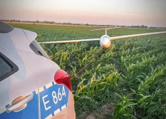 Gdy szybowiec wyląduje w kukurydzy...