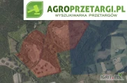 Przetarg na dzierżawę 66,10 ha gruntu rolnego/stawu na 5 lat – Wsr-RVI, RIVb, RV, RVI, ŁIV, ŁVI
