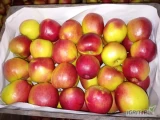 Sprzedam jabłka Ligol Prince Boskop za wagę w skrzyni 