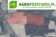 Przetarg na dzierżawę 87,66 ha gruntu rolnego na 1 rok – RIIIb, RIVa, RIVb, RV, RVI, RVIz, ŁIV, ŁV, ŁVI, PsIV, PsV, PsVI, N, B-RVI,...