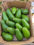 Do sprzedania ilości hurtowe awocado odmiany Fuerte kaliber 16 szt. Średnia waga netto- 4 kg. Dostępna ilość około 240 op. Oferta...