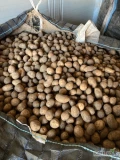 Sprzedam ziemniaki odmiany Soraya, kaliber 3,5-5,luzem, bb lub worek 15 kg raszlowy szyty, cena 1,7 zł/kg, zainteresowanych zapraszam do...