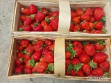 Sprzedam truskawki. Arosa 104 koszyki i sybilla 68koszykow. Tel: 509 857 237
